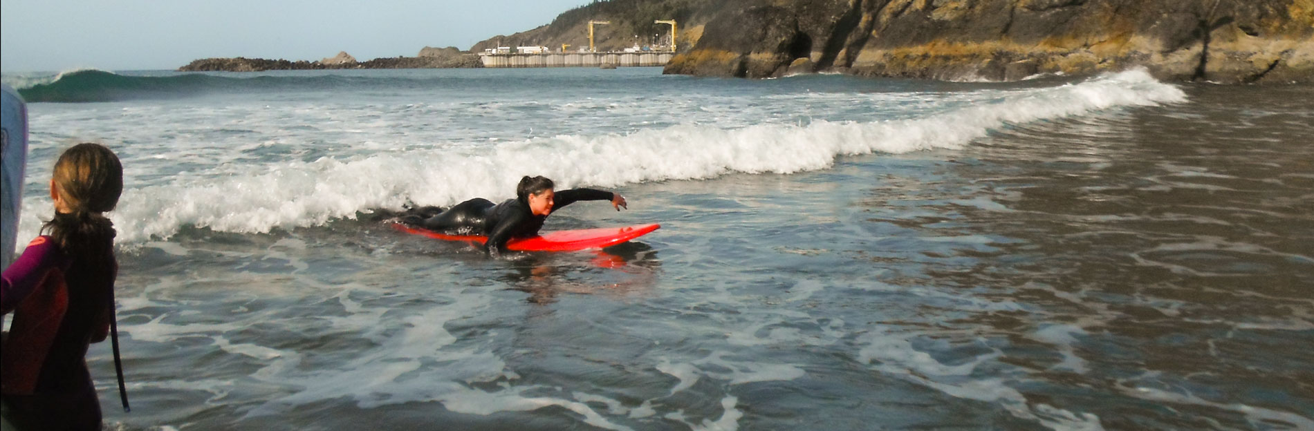 Read more about the article Surfing Lessons